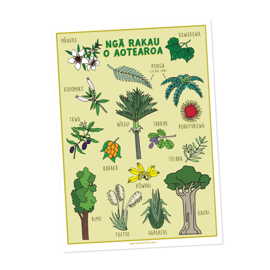 Ngā Rakau o Aotearoa A3 Whakaahua Tikiake - Download – TeacherTalk