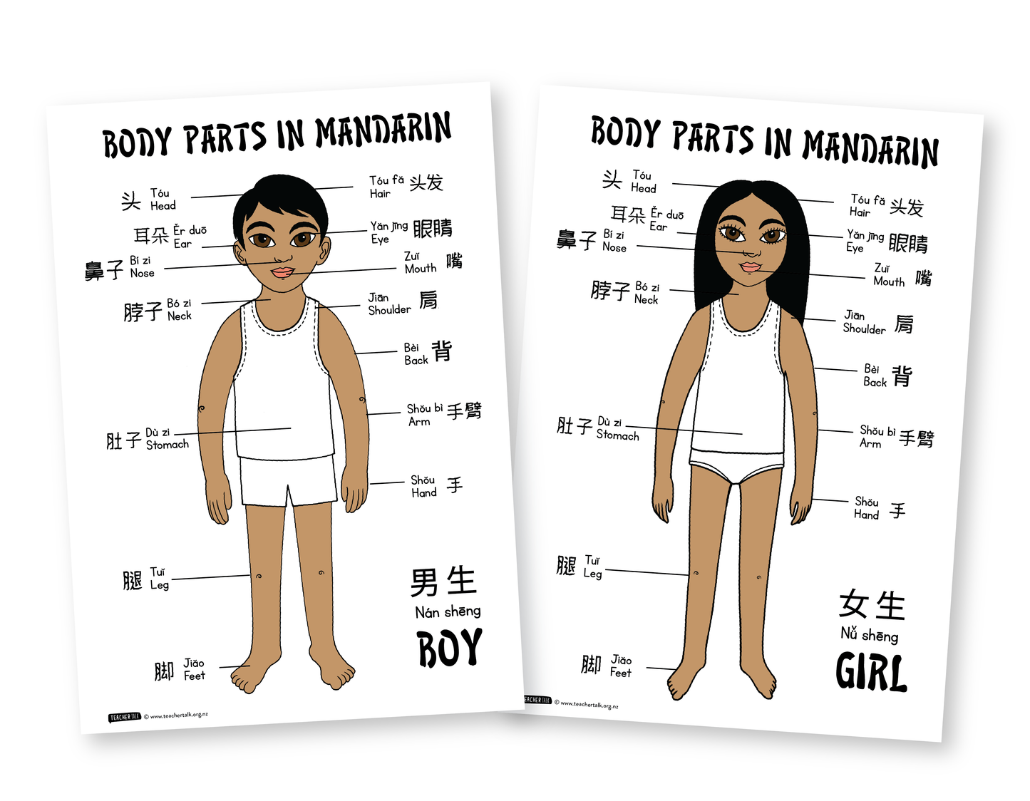 Body Parts in Mandarin A3 Posters - Download