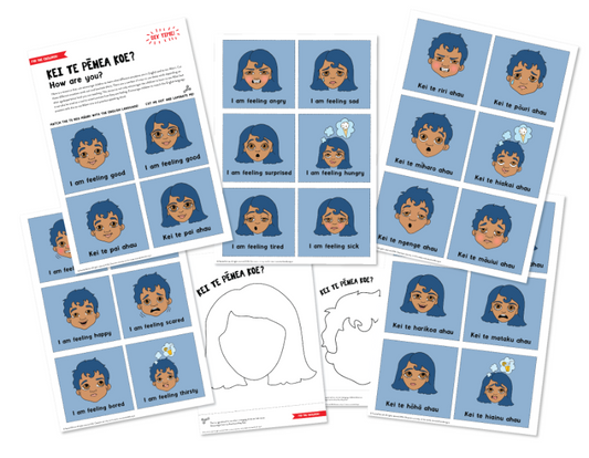 Emotions Cards in te reo Māori - Pack