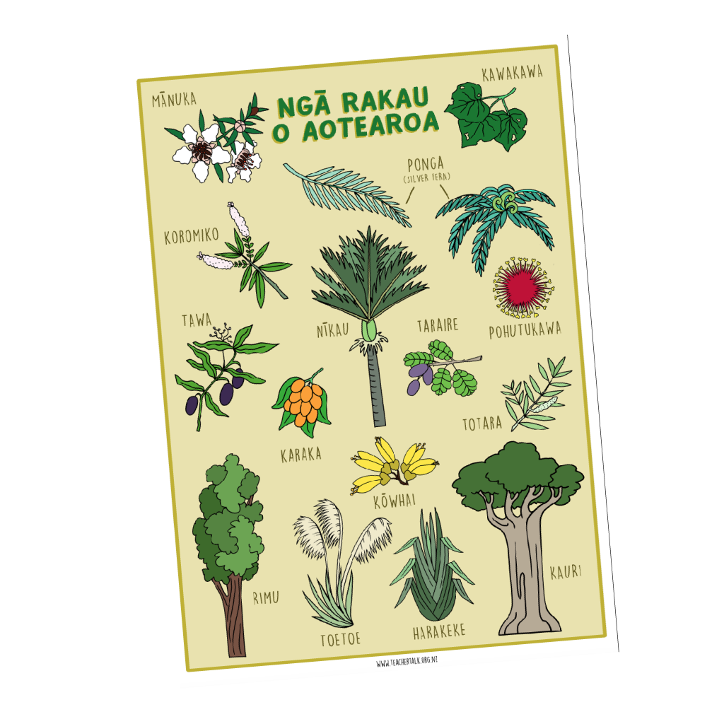 Ngā Te Reo Māori Tikiake – Page 2 – TeacherTalk