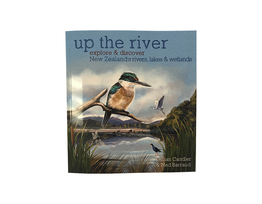 Up The River - Explore & Discover