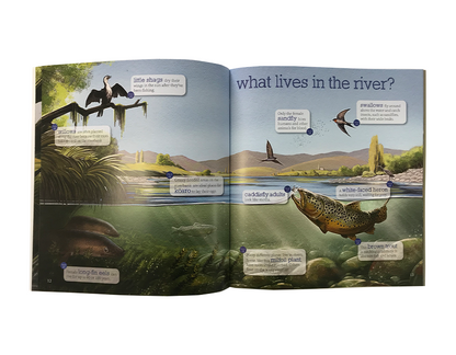 Up The River - Explore & Discover