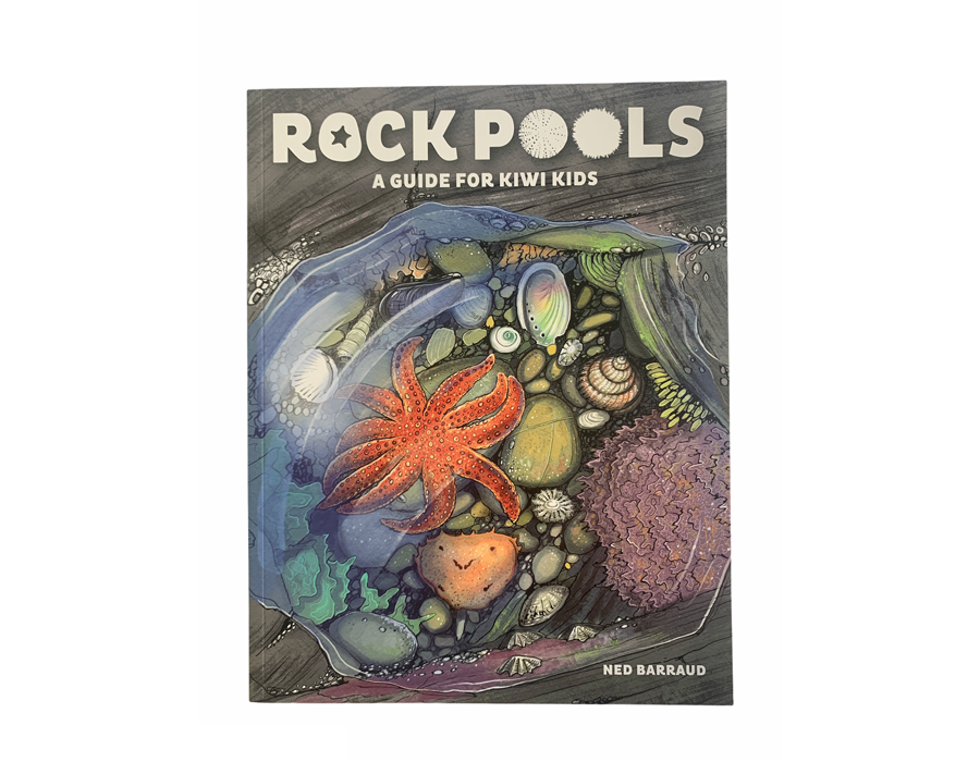 Rock Pool. Book Rock Pools - A Guide for Kiwi Kids – TeacherTalk