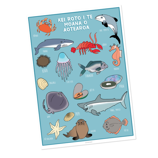 Kei Roto i te Moana o Aotearoa Whakaahua - Download