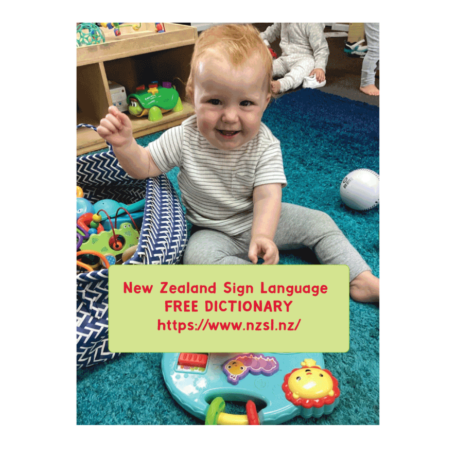 Link to NZ Sign Language Dictionary