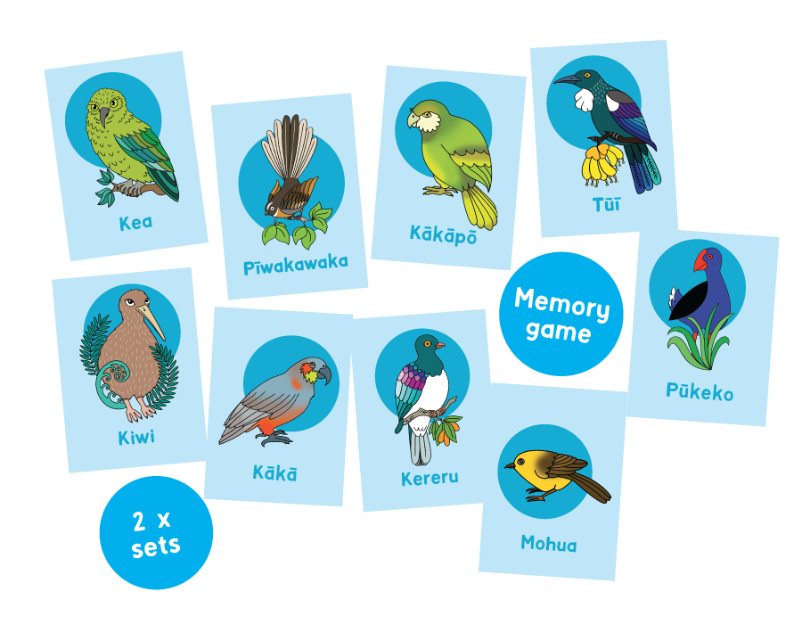 Native Birds of Aotearoa Memory Game - Download