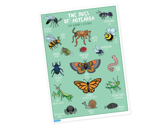 Bugs of Aotearoa A3 Poster