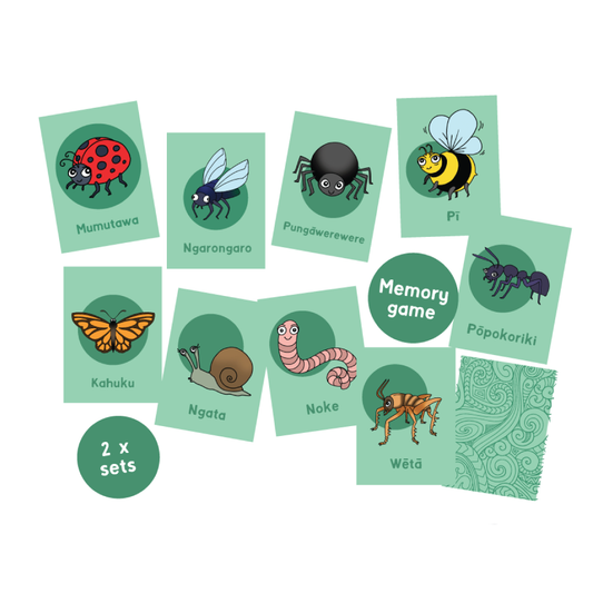 Insects of Aotearoa Memory Game