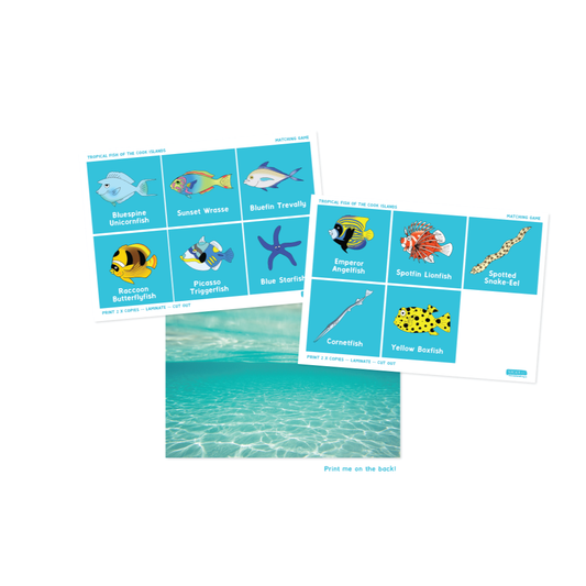 Cook Islands Tropical Fish Memory Game - Download