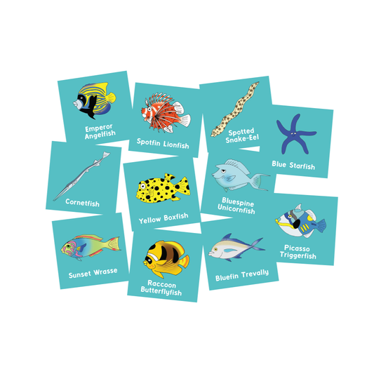 Cook Islands Tropical Fish Memory Game