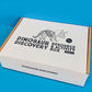 Dinosaur Discovery Activity Box