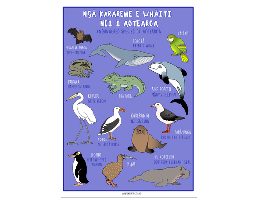 NZ Endangered Species Wildlife A3 Poster - te reo Māori