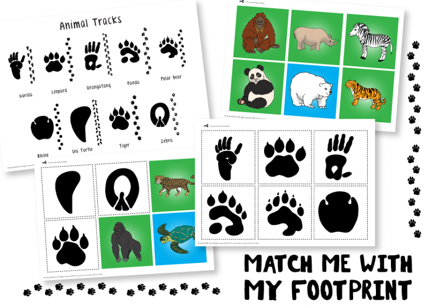 World Wildlife- Match My Footprints - Download – TeacherTalk