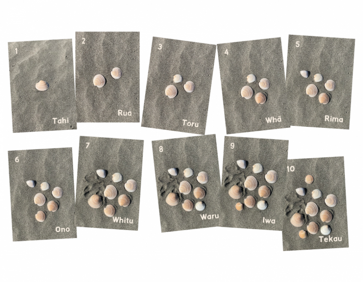 ECE Tuff Tray Resources & Essentials NZ | TeacherTalk