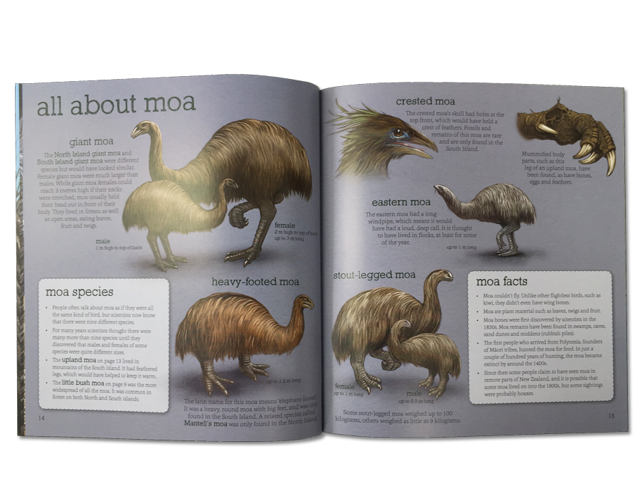 From Moa to Dinosaurs - Explore and Discover Ancient NZ