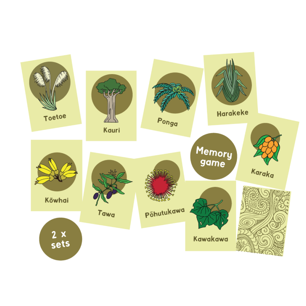 Native Plants of Aotearoa Memory Game