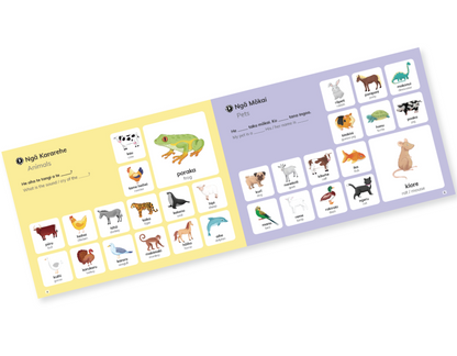 Te Reo Māori Picture Dictionary - Sing-a-long book