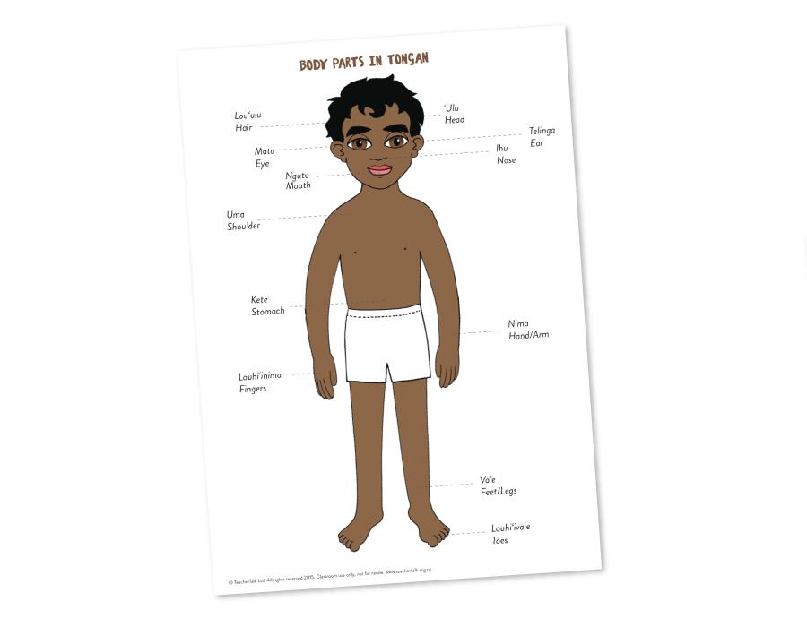 Body Parts in Tongan - A3 Poster