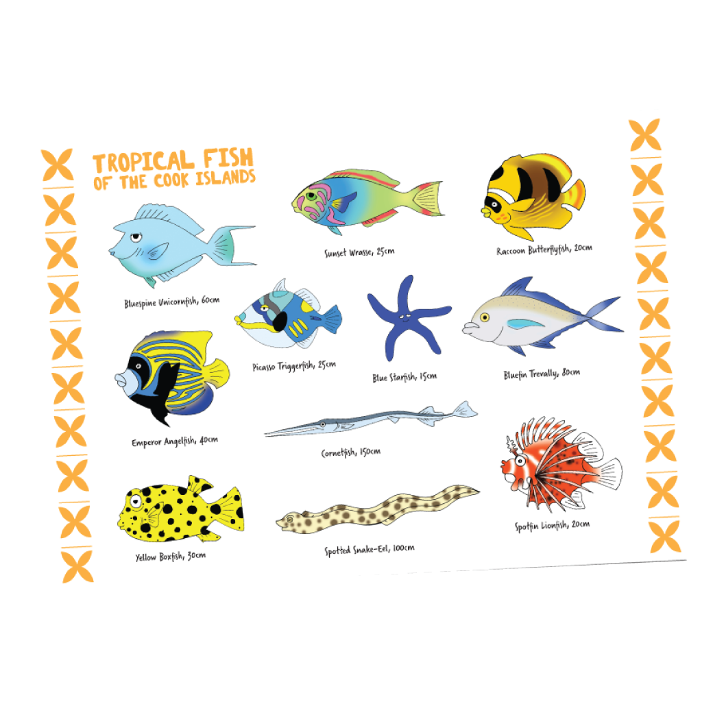 Cook Islands tropical fish A3 Poster